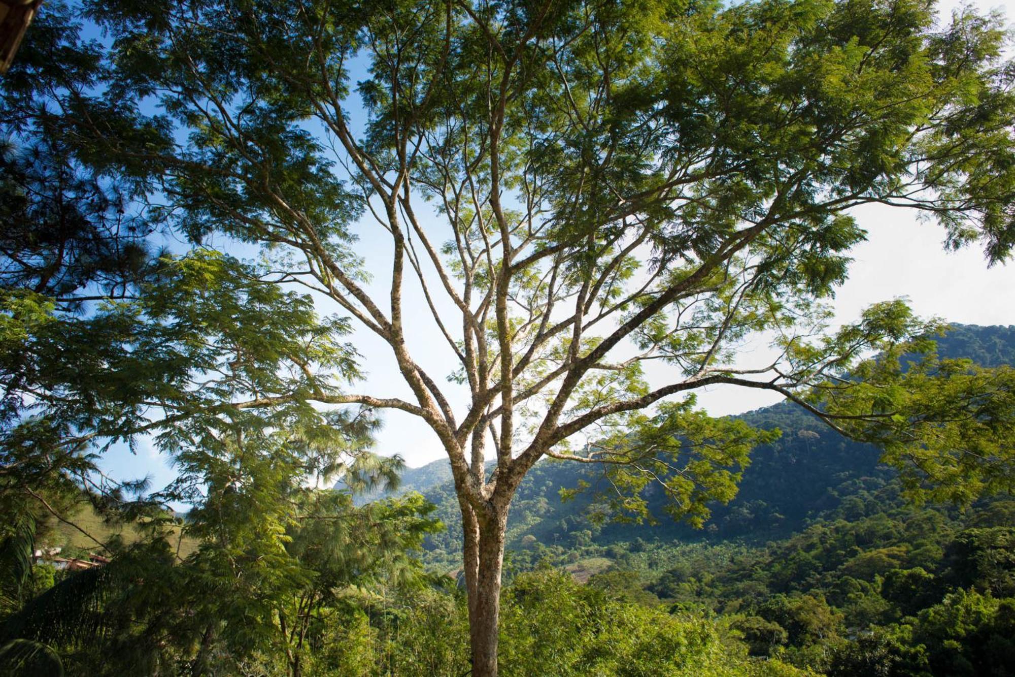 Pousada Cascata Casimiro de Abreu Værelse billede